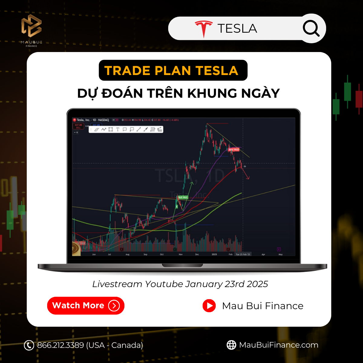 Trade plan Swing (trung hạn) TESLA của CEO Mau Bui trong Livestream Youtube Sunday February 23rd, 2025