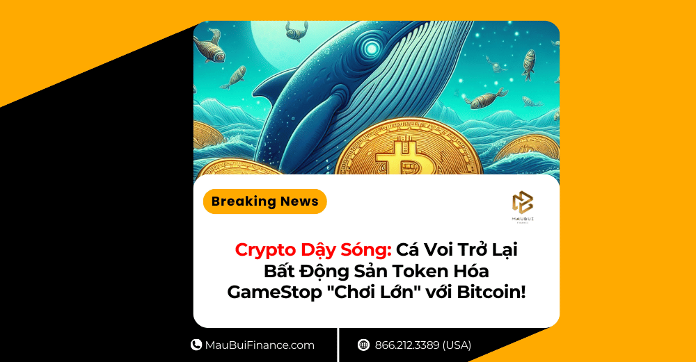 Crypto Dậy Sóng: Cá Voi Trở Lại – Bất Động Sản Token Hóa – GameStop “Chơi Lớn” với Bitcoin!