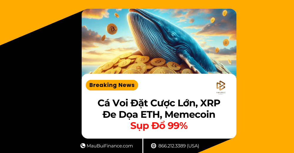 Cá Voi Đặt Cược Lớn, XRP Đe Dọa ETH, Memecoin Sụp Đổ 99%!