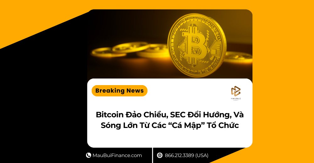 Bitcoin Đảo Chiều, SEC Đổi Hướng, Và Sóng Lớn Từ Các “Cá Mập” Tổ Chức