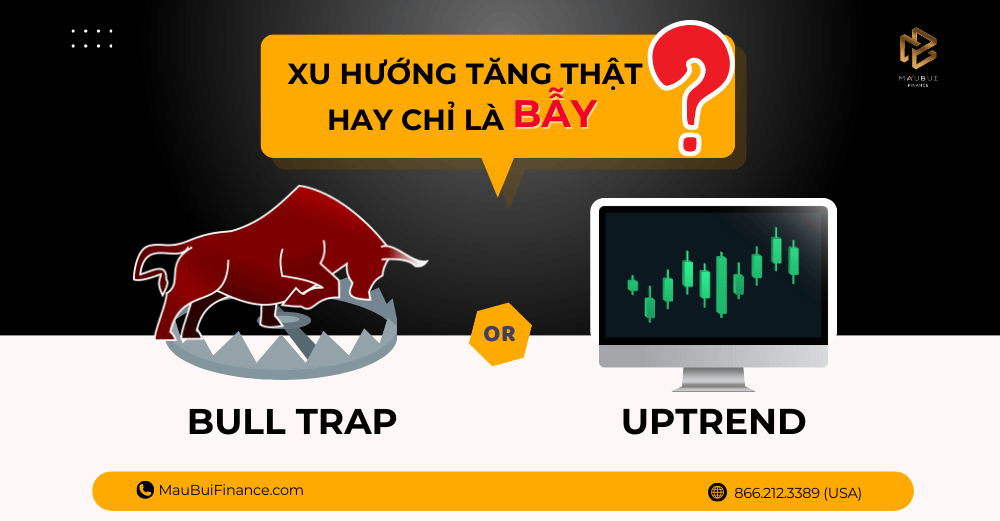 Xu Hướng Tăng Thật Hay Chỉ Là Bẫy? Cách Nhận Biết Để Tránh Rủi Ro!