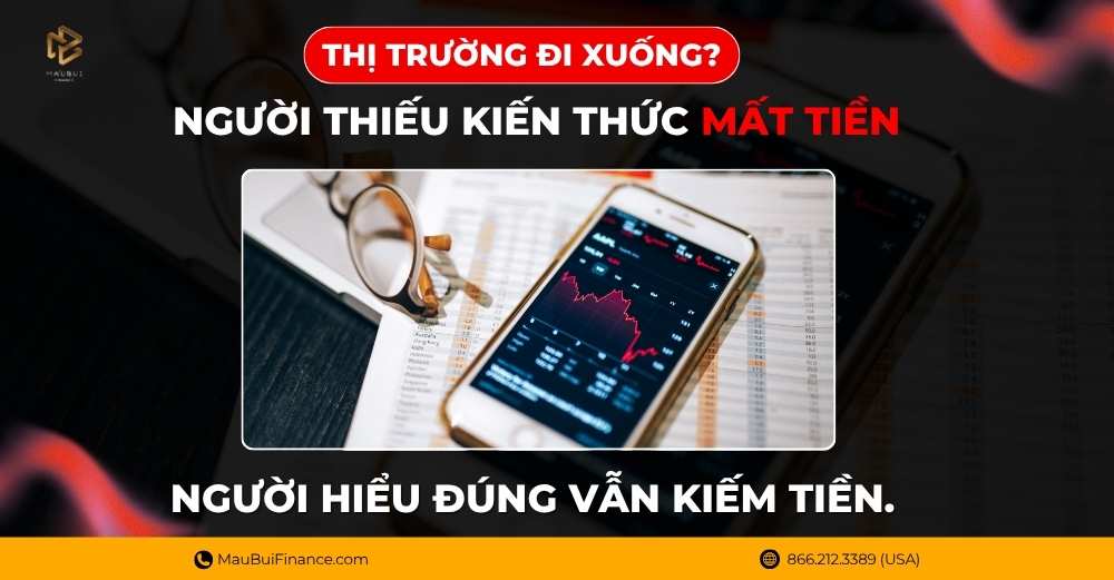 Thị Trường Đi Xuống – Người Mới Học Trading Tại Mỹ Nên Làm Gì?