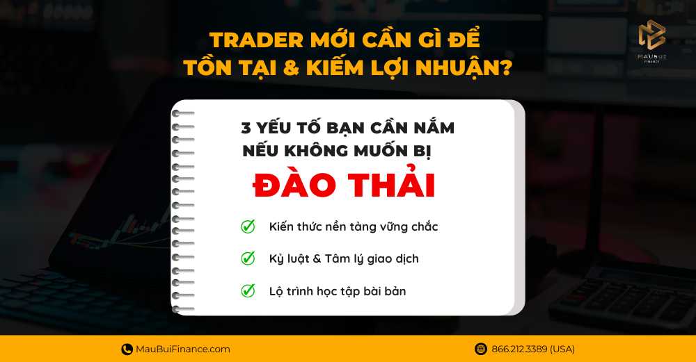 Trader Mới Cần Gì Để Tồn Tại & Kiếm Lợi Nhuận?