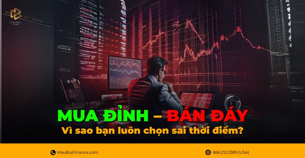 Mua Đỉnh Bán Đáy – Vì sao bạn luôn chọn sai thời điểm?