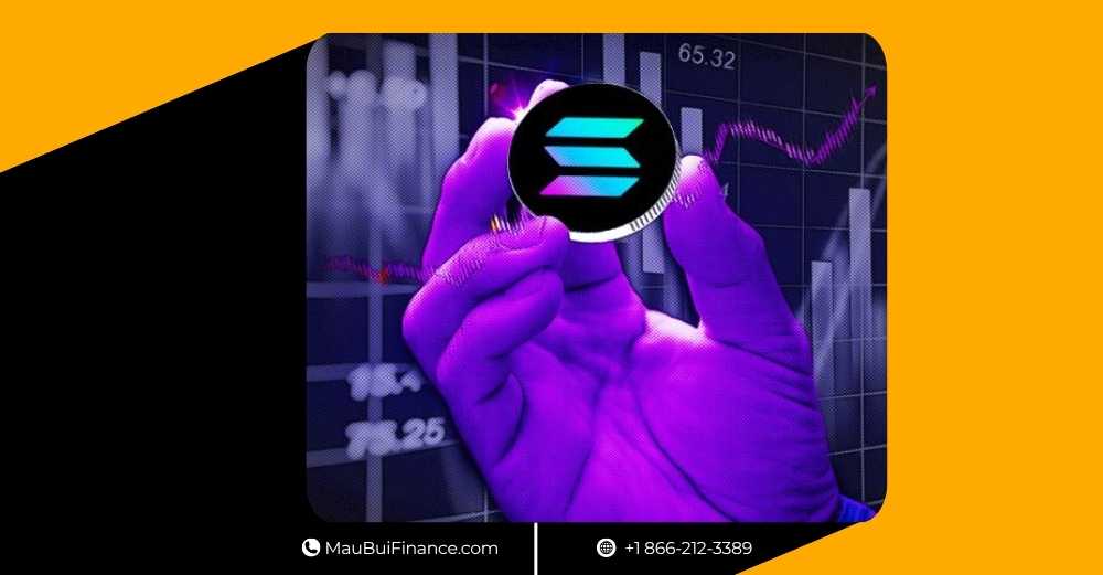 Solana vượt mặt Bitcoin – Elon Musk ra mắt X Chat – Cathie Wood “ôm” Bullish – Bitcoin bước vào giai đoạn IPO – Biến động lớn sắp xảy ra