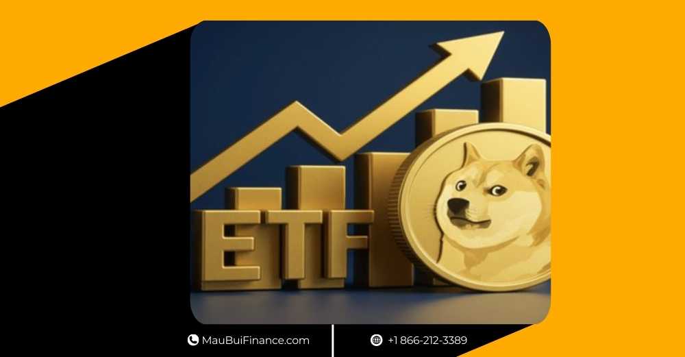 ETF Dogecoin và XRP ra mắt đầu tuần, Bitcoin phục hồi mạnh, cổ phiếu MicroStrategy “chảy máu”, Ondo chơi lớn với stablecoin, và vụ hack NPM