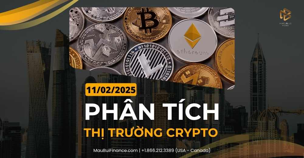 Phân tích thị trường Crypto trong Livestream Youtube 11/02/2025