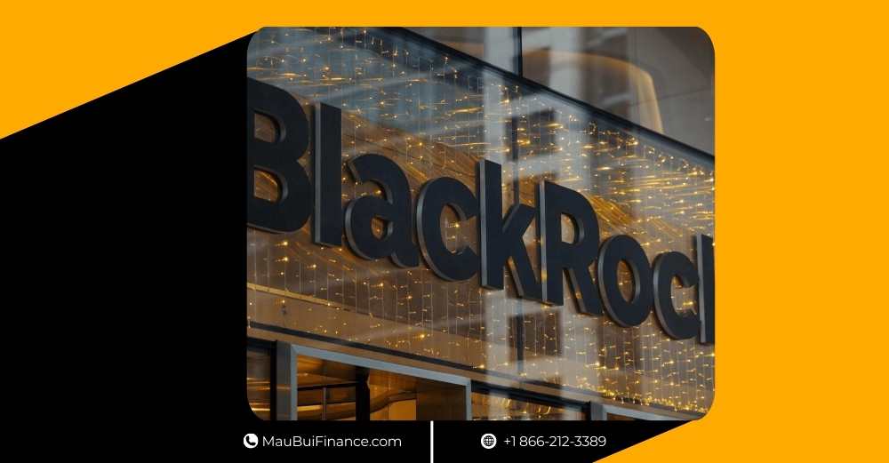 BTC bật 14% nhưng cá voi chưa Long, Phantom mất $264K vì lỗ hổng UX, Chainlink nói thị trường giảm “khác biệt”, SBF xin xử lại, BlackRock đưa BUIDL lên Uniswap