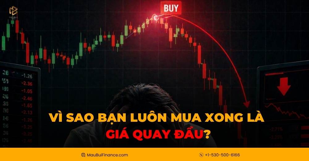 Tại sao cứ mỗi lần bạn mua là thị trường lại quay đầu giảm?